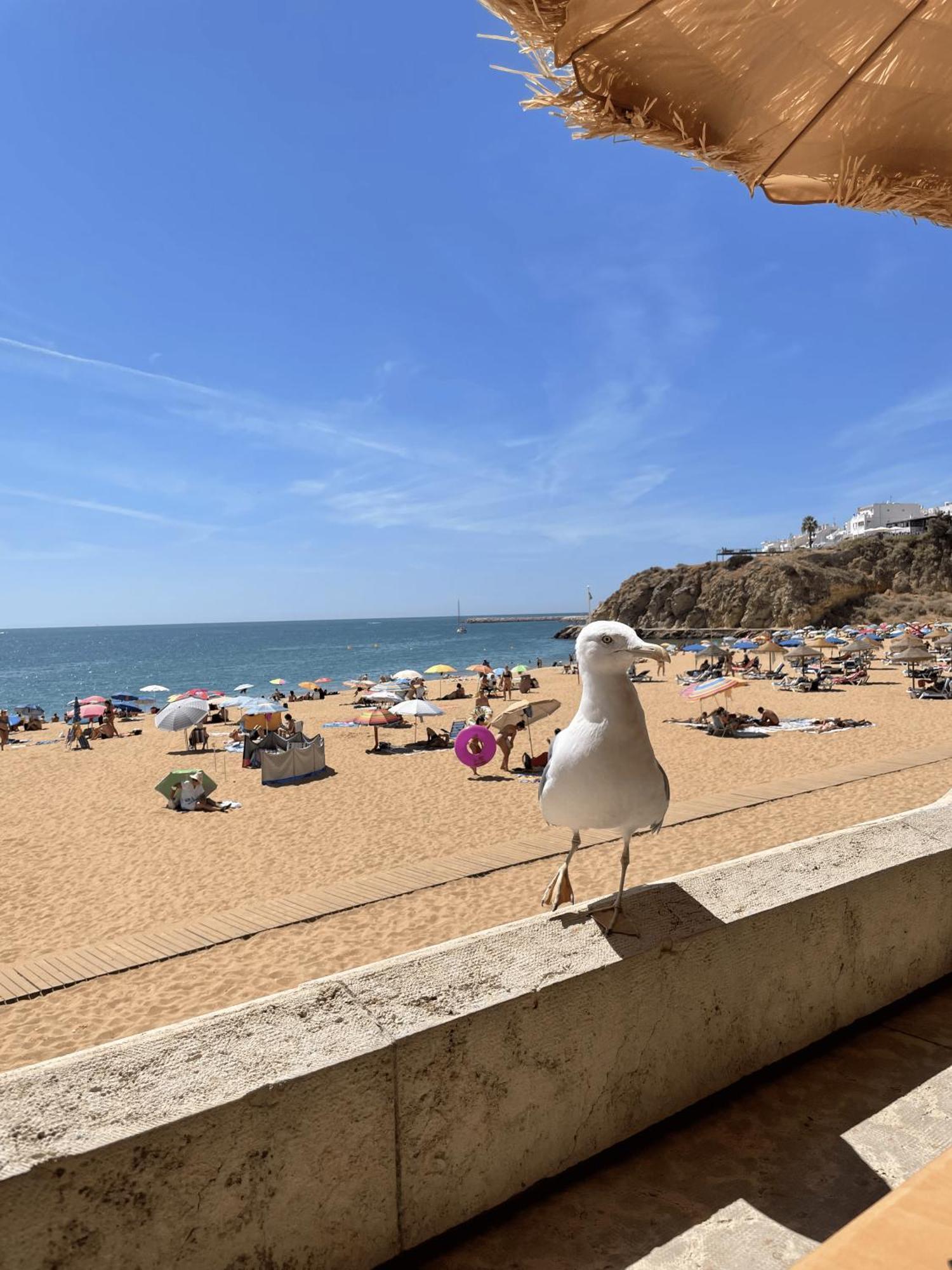 Vila Relaxmountain B&B São Bartolomeu de Messines Екстериор снимка